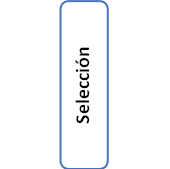 Selección